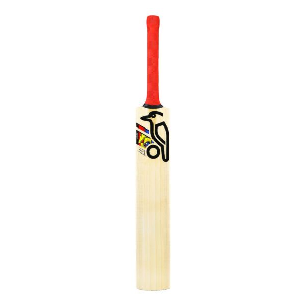 KOOKABURRA BEAST PRO 9.0 KASHMIR CRICKET BAT JUNIOR 2024-25