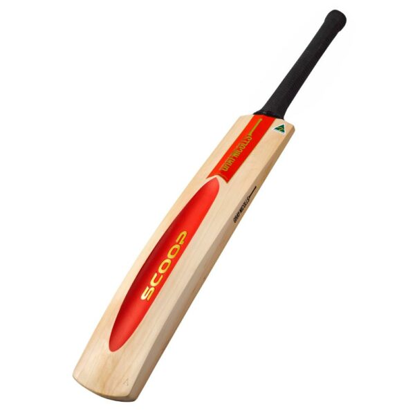 GRAY NICOLLS SCOOP 50TH ANNIVERSARY (5 STAR) CRICKET BAT 2024-25