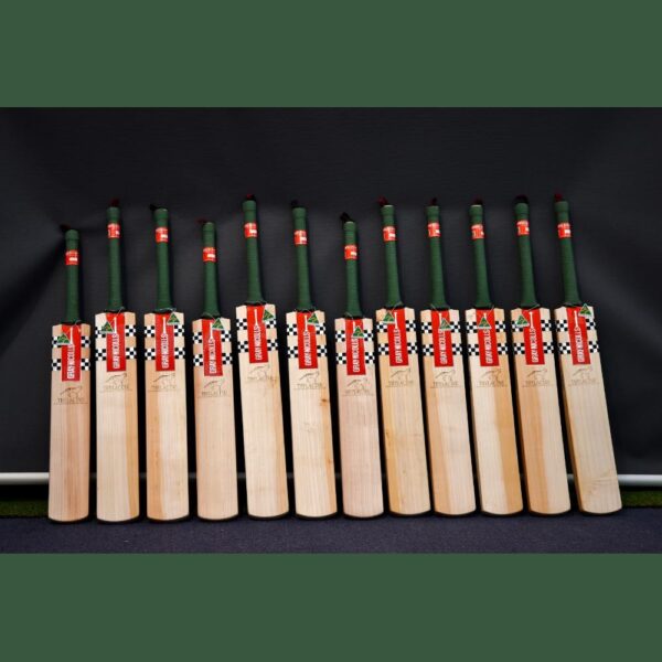 GRAY NICOLLS THYLACINE CRICKET BAT 2024-25