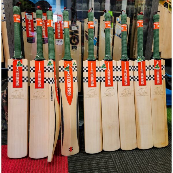 Gray Nicolls Thylacine Bat at The Cricket Hub Tasmania